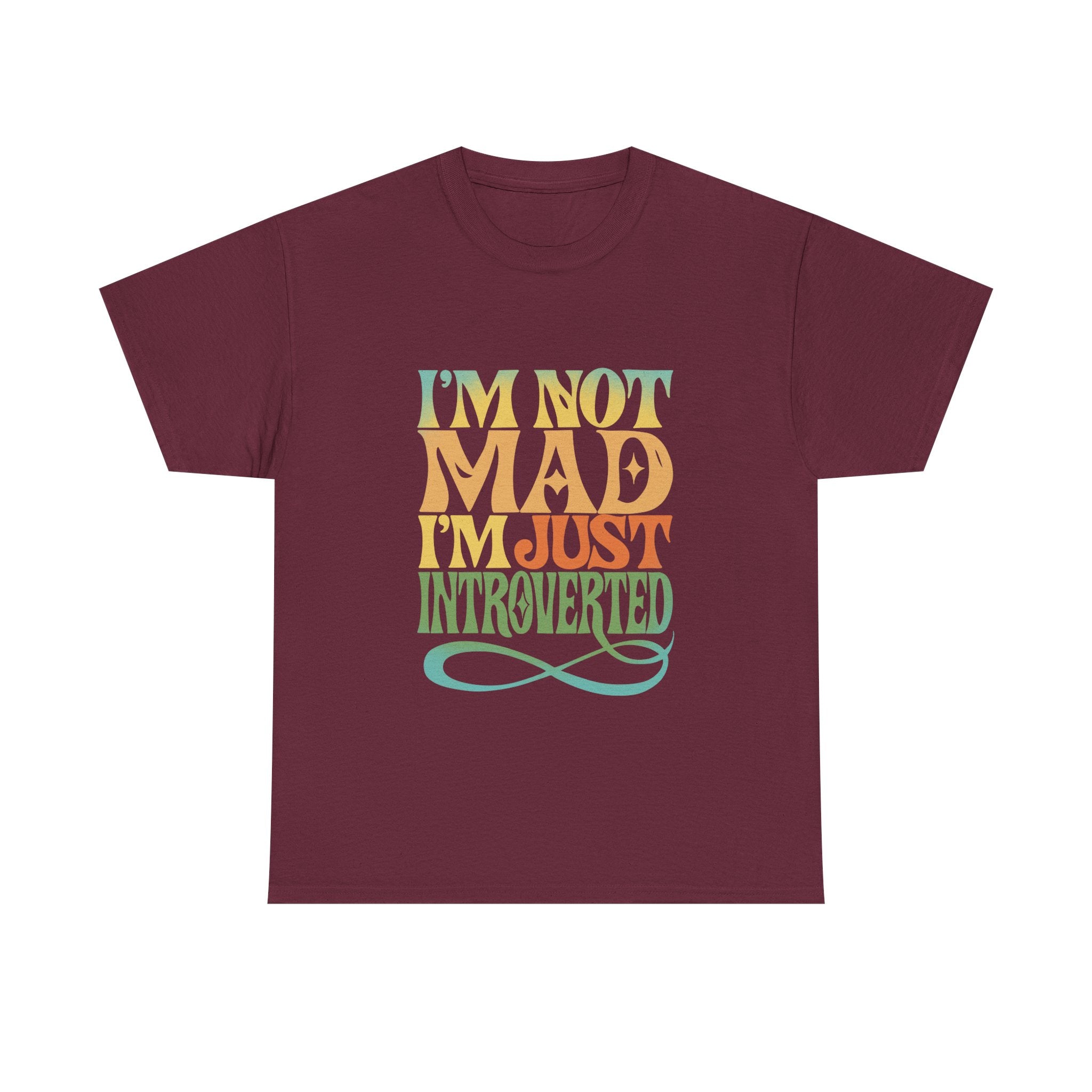 I’m Not Mad I’m Just Introverted T-Shirt