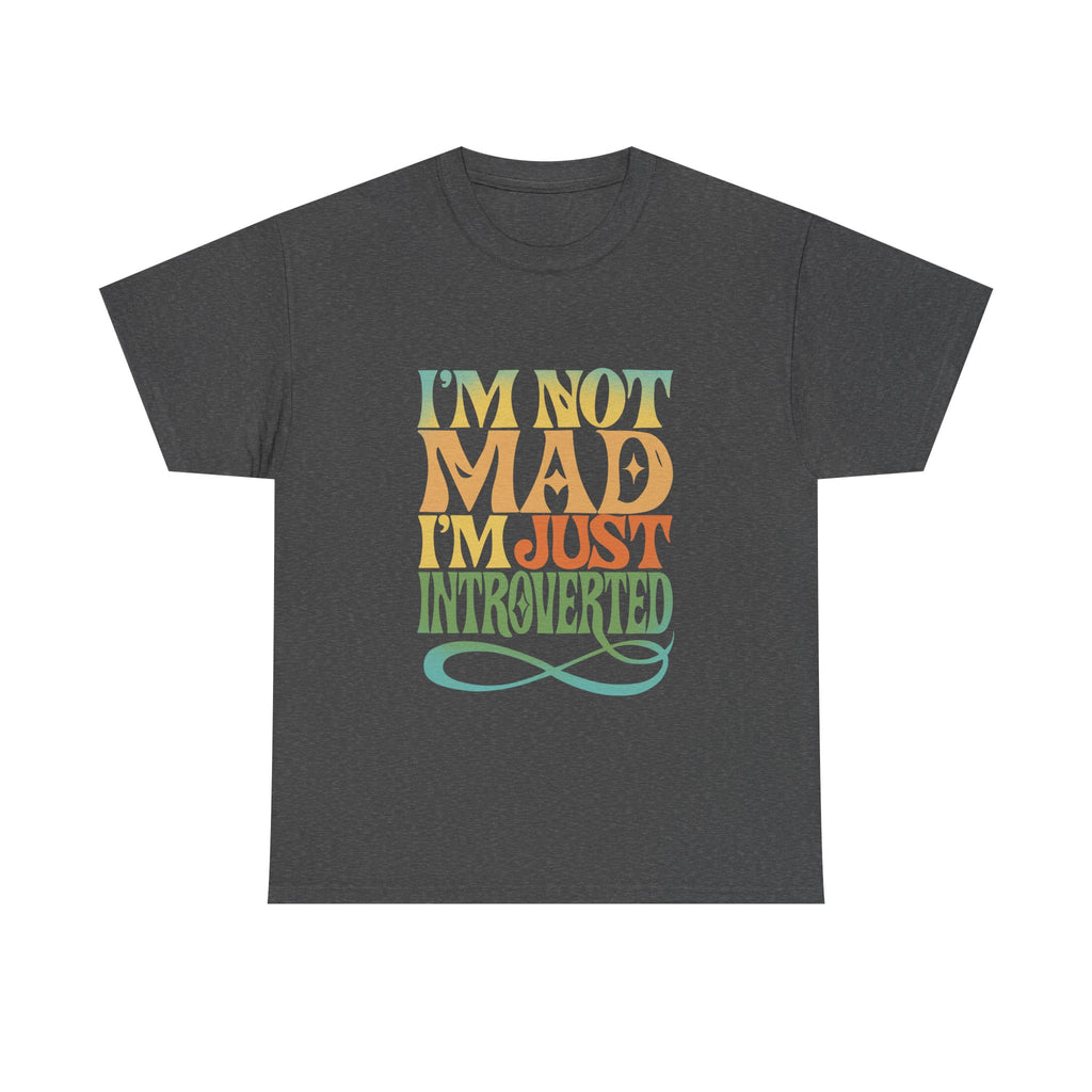 I’m Not Mad I’m Just Introverted T-Shirt