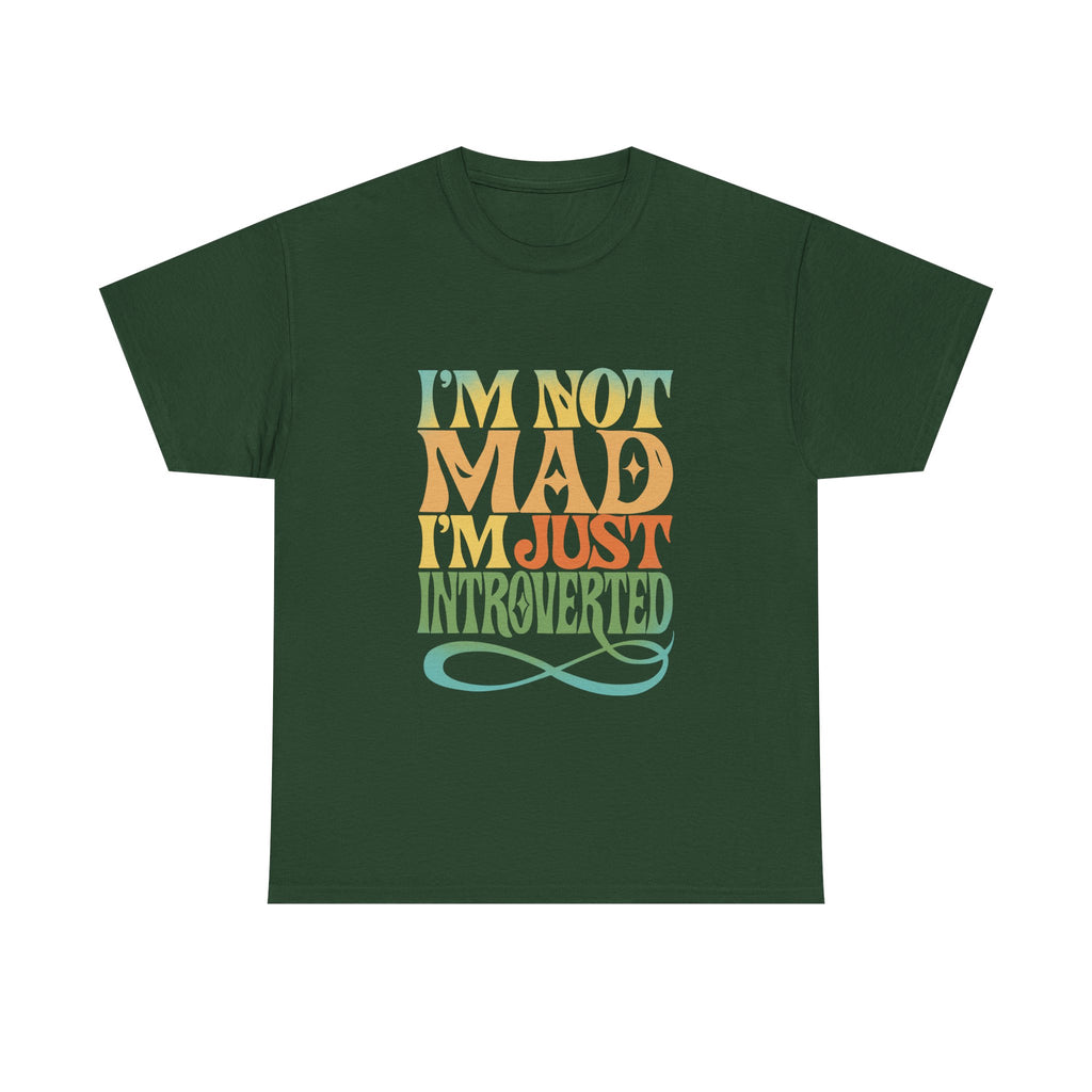 I’m Not Mad I’m Just Introverted T-Shirt