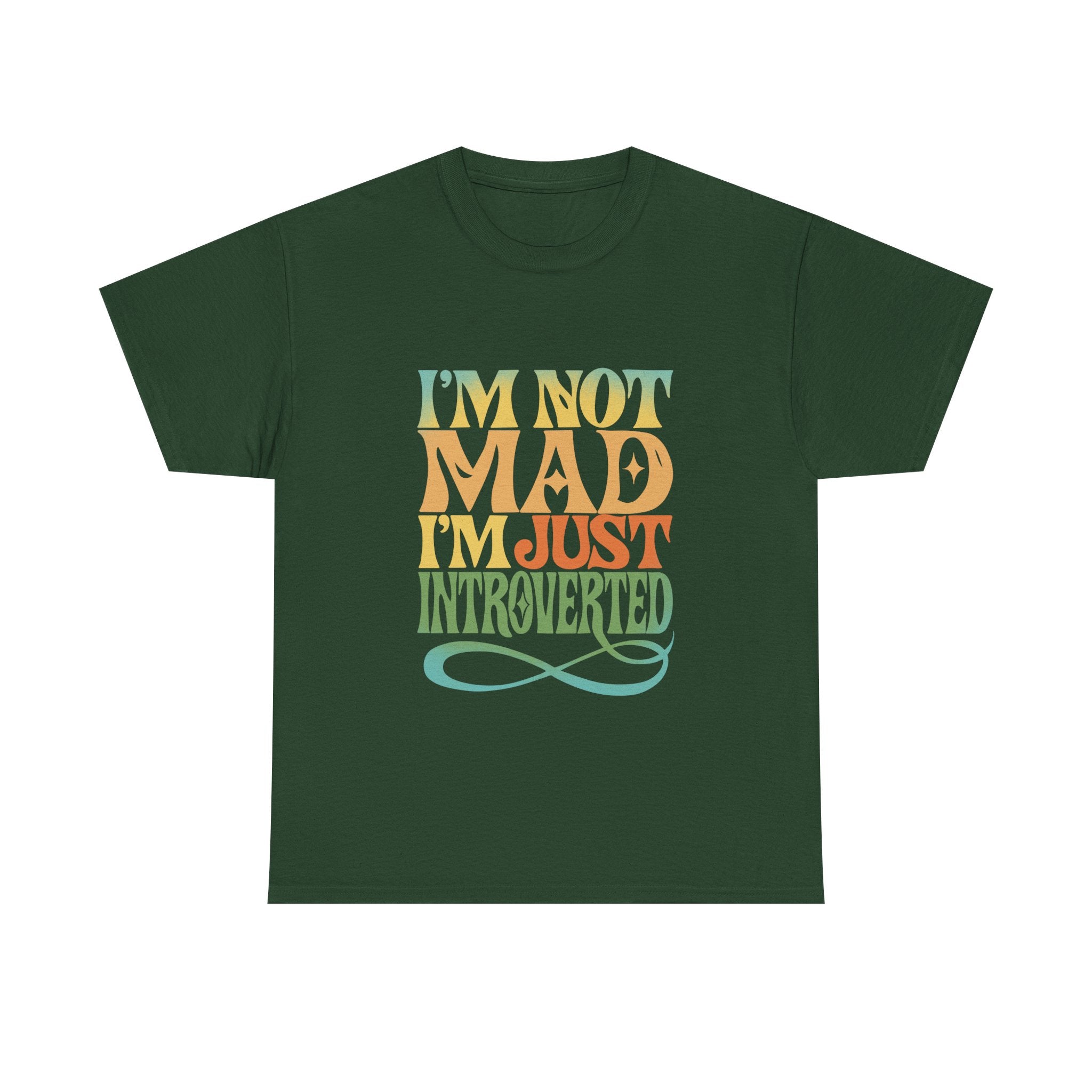 I’m Not Mad I’m Just Introverted T-Shirt